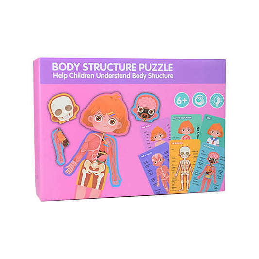 Montessori Human Anatomy Toy