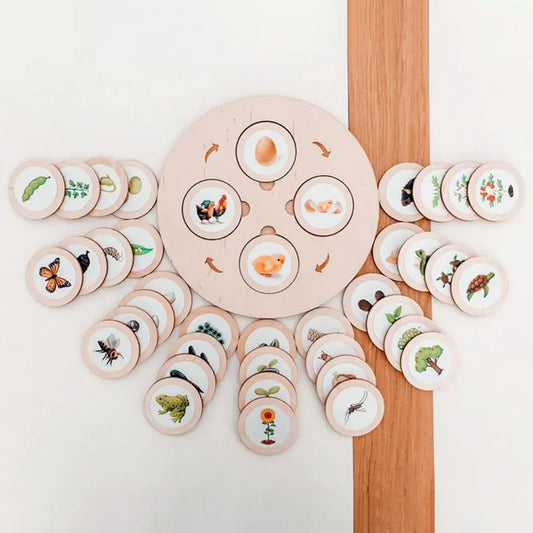 Life Cycle Puzzle Kids Educational Board Toy